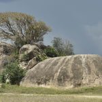 49120157262_6175a67b2a_o