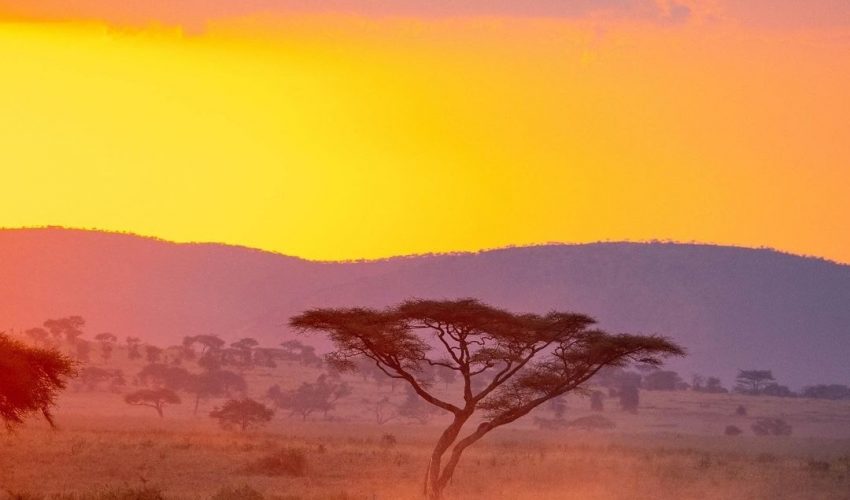 chasingafrica_262410933_1351404988647894_5596697172184774206_n