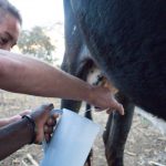 11904139043_a037708522_k