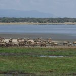 11904248925_209a8dfdaa_k