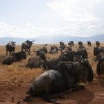 11904257283_2b4602b794_o2