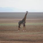 11904376845_5951e04458_k