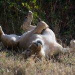 11904440063_f78a5c17b4_k