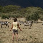 11904553994_465239818b_k