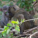 11904580913_59239c8dba_k