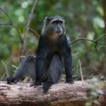 11904591363_f122bbb68d_k