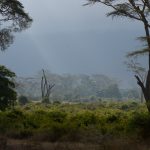 11904606174_1f9e2ec73f_k