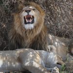 11904923316_2a9a51df2d_k