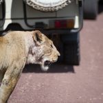 11904983816_1b3e178146_k