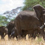 11905106673_b189292e99_o