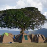 11905112056_c8b56d18ad_k