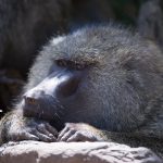 11905142006_87c787da5c_k