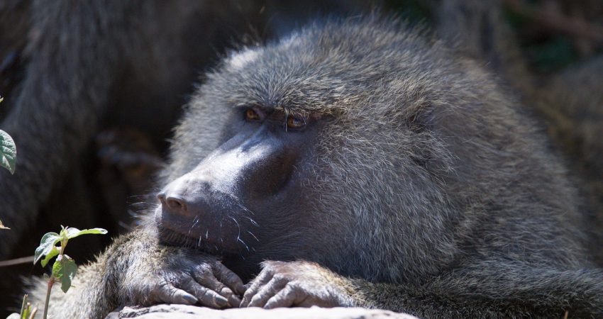 11905142006_87c787da5c_k