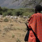 14590086759_e48cdfd2c9_k