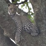 49119966406_3253342445_k