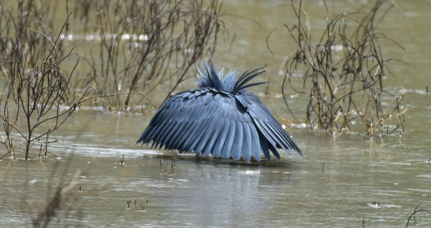 24385028924_b860bdb30d_o